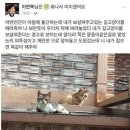 이연복 카카오 검색결과
