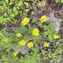 이슬펜션 이미지