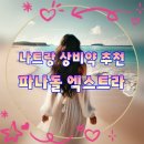 란약국 | 나트랑 상비약 추천 파나돌 엑스트라 현지 약국 구매 후기 / 가격 및 복용법 총정리