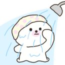 벨리즈 프로헤어 네이버블로그