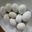 청란반숙 이미지