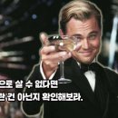 디투알 이미지