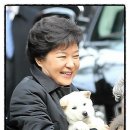 퍼스트독 이미지