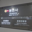 평온빌딩 | 서울 강남 도심 사찰 봉은사 연꽃축제. 7월 방문 후기와 백중 연등 풍경