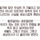 신디농장 이미지
