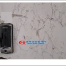 부주약국 이미지