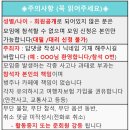 12월 31일(수) adieu "2025" 작별 만찬^^ 이미지