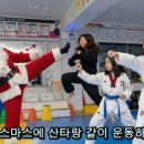 스포렉스태권도