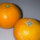 우진카서비스 | 제주도 3박 4일 여행 후기 - 1일차 (롯데 렌터카, 우진 해장국, 용눈이 오름, 코난 해변, 곰막)