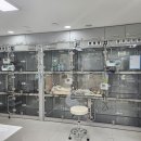 푸른동물병원 이미지