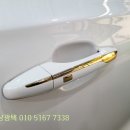 달타냥광택 이미지