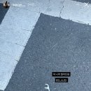 초전향어