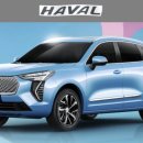 막심이네-수입 이미지