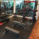 골든짐(GOLDEN GYM) 이미지