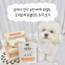 사랑의 날개 | 강아지 간식 추천 바야 와일드 오리날개 동결건조 트릿 후기