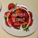 반궁 동아백화점 쇼핑점 | 대구 애슐리퀸즈 동아쇼핑점 딸기시즌 오픈런 평일런치 가성비 사진많은 솔직후기