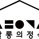 살롱의 정석