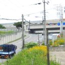 관산시장길 이미지