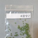 퍼플당근 이미지
