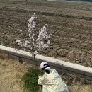 초록PC방 | 용인 처인구 카페 <인워프> | 야외 잔디 대형 테라스 카페! 커피 맛 보장하는 뷰 맛집 🍀