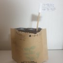 서울둘레길 5코스 2번째 걷기 후기