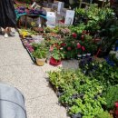 창원 도심 상남시장 상남장날 4일 9일 먹거리 과일 장보기 구경