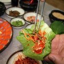향어나라초장이맛있는집 이미지