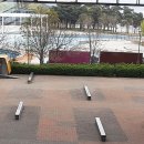 뚝섬한강공원-58 이미지