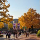 최진용 | 어른이 뮤지컬 난쟁이들 예매 대학로 전석 매진 후기