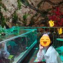 광부 농장 | 충주여행 가볼만한곳 실내데이트 활옥동굴 투명보트 후기