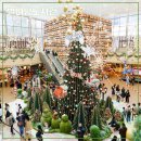 풀꽃동산작은도서관 | [별마당도서관] 스타필드 코엑스몰 크리스마스 트리 연말 실내 데이트 볼거리