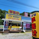 조효일공인중개사사무소 | [공지] 조효일공중 사무소 위치, 홈페이지 알려드려요!