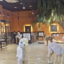 테이블에이 놀이터 이미지