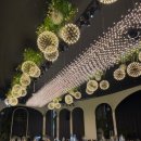 라온캣독 호텔 대구점 | 결혼 준비 대구웨딩홀 4곳 직접 다녀와 비교해본 후기 (비엔나, 파라다이스, AW호텔, 라온웨딩)