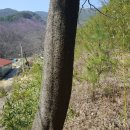 건축사사무소벗 이미지