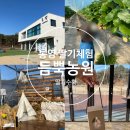 대영농원5농장 | 통영 듬뿍농원 경남 아이와 딸기수확 딸기청 만들기 체험 농장 추천