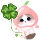 승리손칼국수 이미지