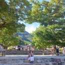 이백초등학교 이미지