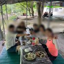 남창감나무집 이미지