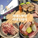 숯돼지 | 진주 하대동 맛집 하대숯돼지 숯불구이 솔직 후기 | 뒷고기 통삼겹 냉목살 맛집