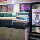 적성회맛집 이미지