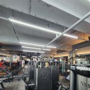 세렌디 피티 짐 이미지