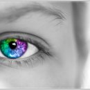 비타민안경.콘택트 이미지