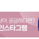서울하이킹그룹 이미지