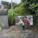 애니카랜드서귀포지점 | 제주 용암동굴, 제주 미천굴이 있는 일출랜드! 족욕카페 쉬멍 제주 족욕체험후기
