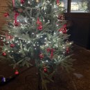 트라이브 | 트라이브레스토랑 내돈내먹 후기