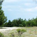 바른율치과의원 이미지