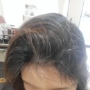 지산목련시장 | 대구 수성구 미용실 염색 손상제로 클리닉 맛집 지산동제이살롱