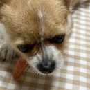 월월스낵 이미지