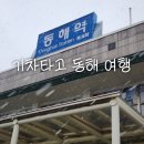 서울역에서 KTX 타고 동해역으로! 동해시 여행 시작 - 묵호시장 &amp; 묵호항 전망대